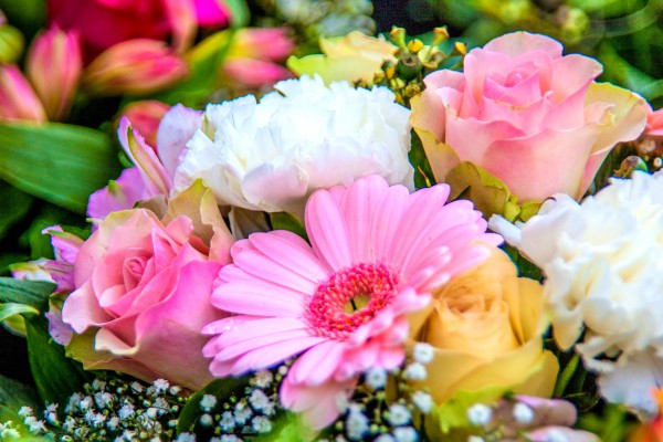 birth_month_flowers-primary-1920x1280px_pixabay.jpg