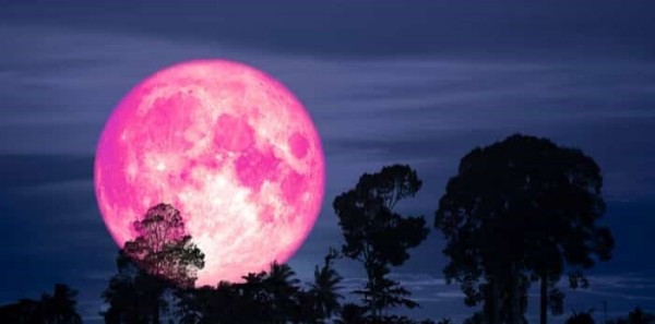 vancouver-pink-moon.jpg